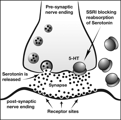 ssri.jpg
