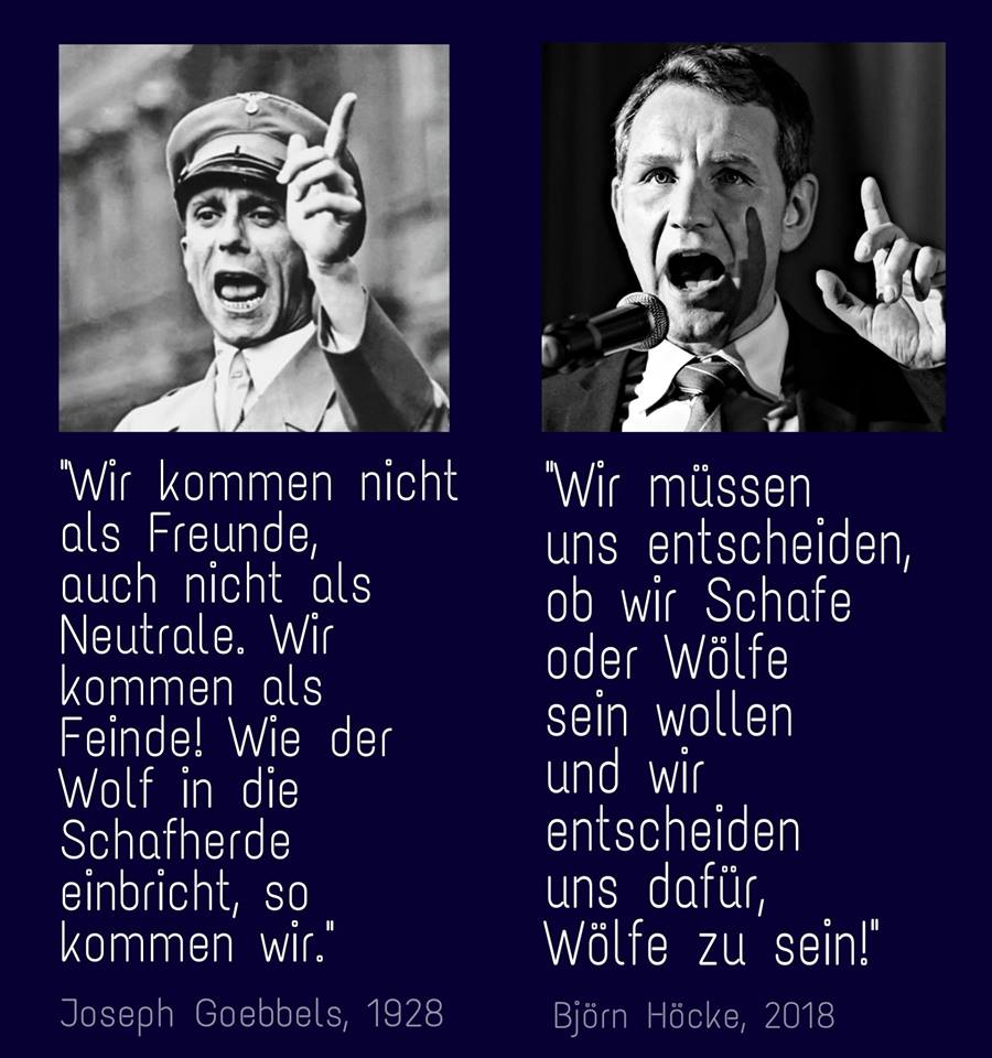 afd11.jpg