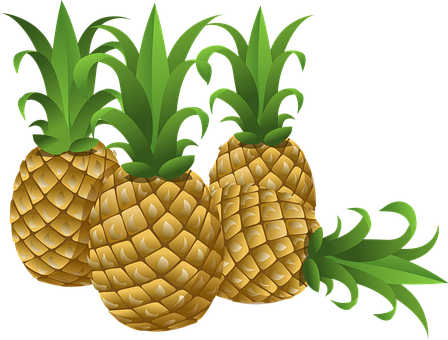 pineapples-576576__340.png