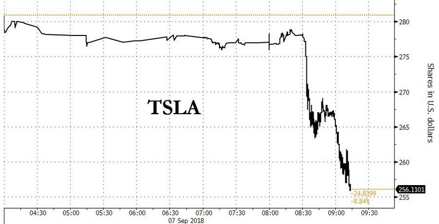 telsa_9.jpg