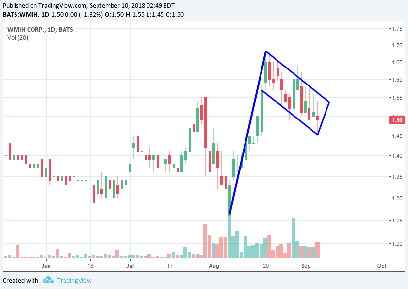 wmih_2018_09_07__bull_flag.png