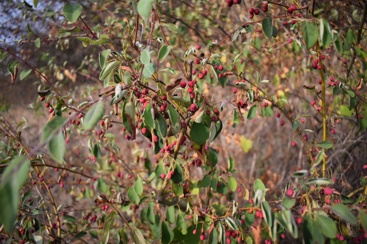 herbst.jpg