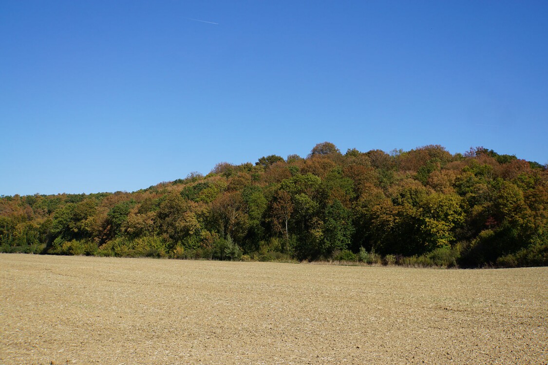 herbstfarben.jpg