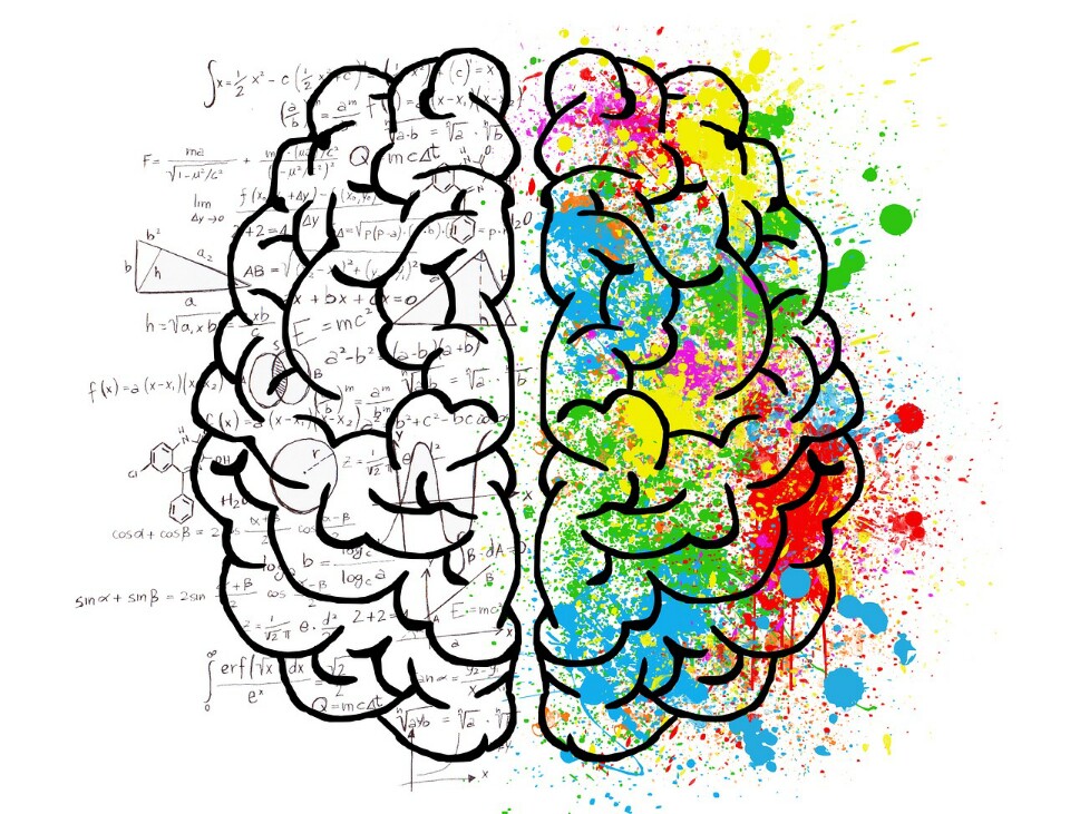 brain.jpg