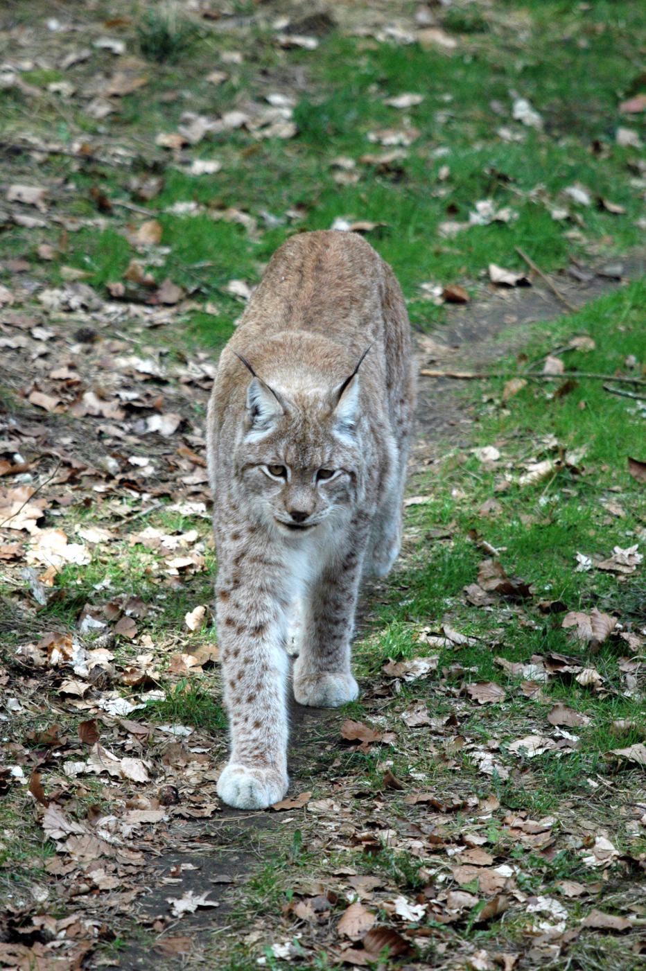 dsc_7014.jpg