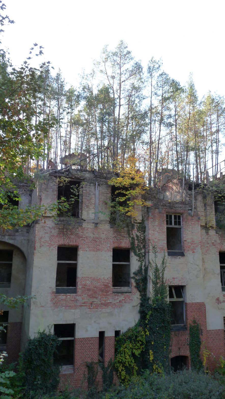 p1080226.jpg
