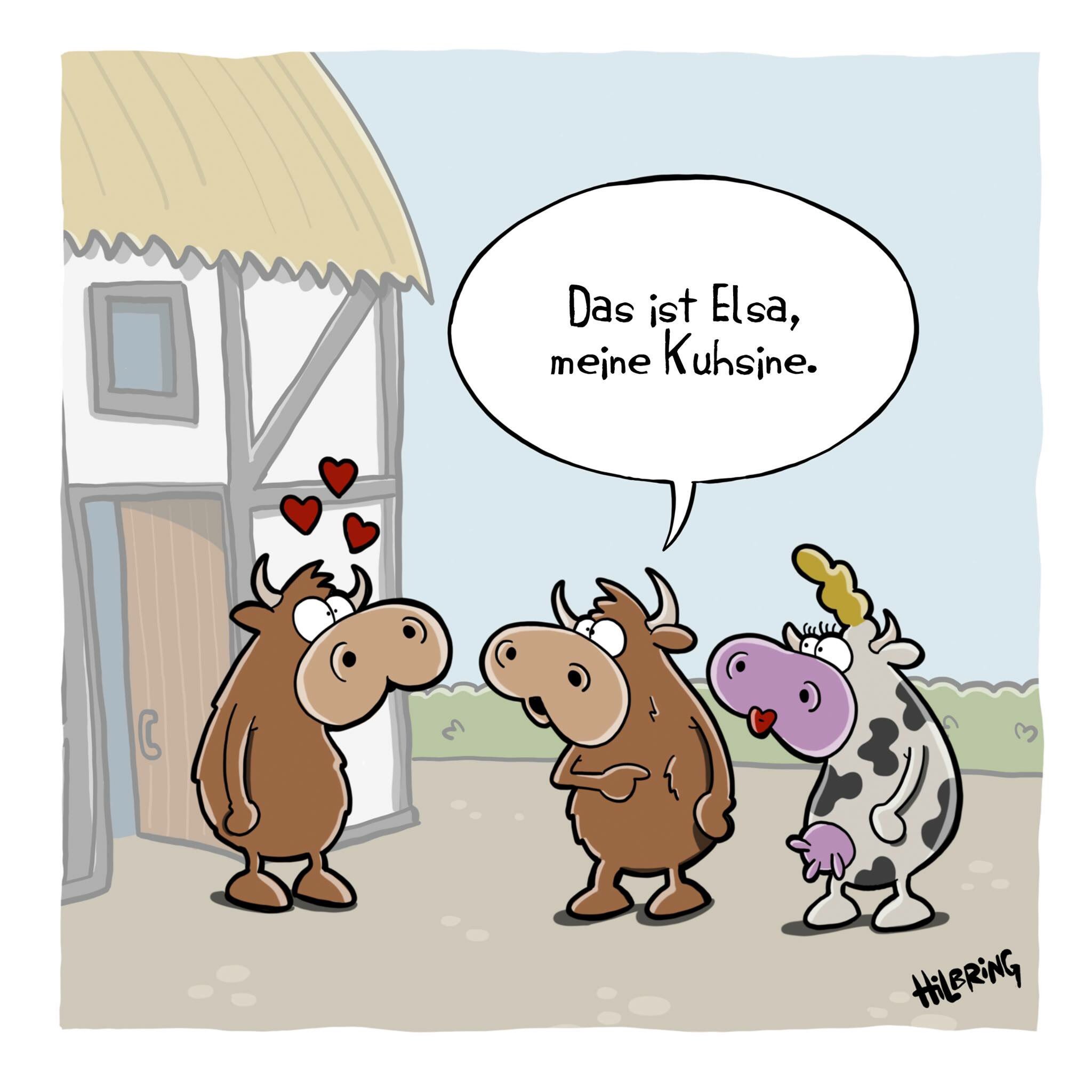 kuhsine.jpg
