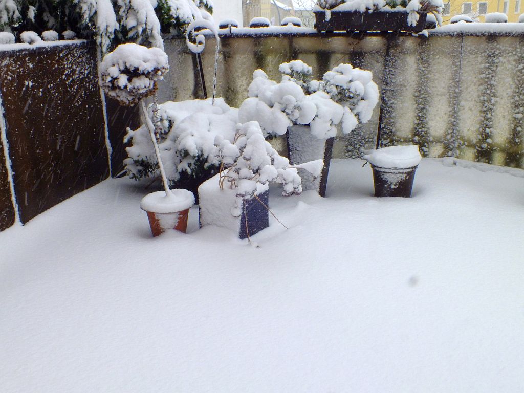 schnee_2019_jan.jpg