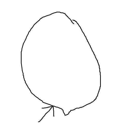 ei.jpg
