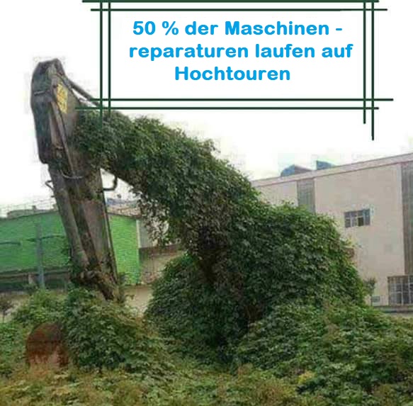 hztrfv.jpg