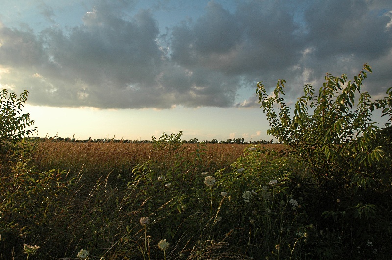 dsc_0116nn.jpg