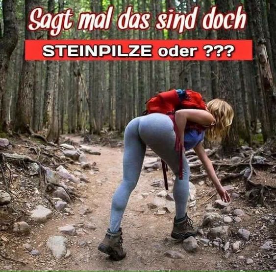 81c5b5903e229f519aa02ba86a97ab43.jpg