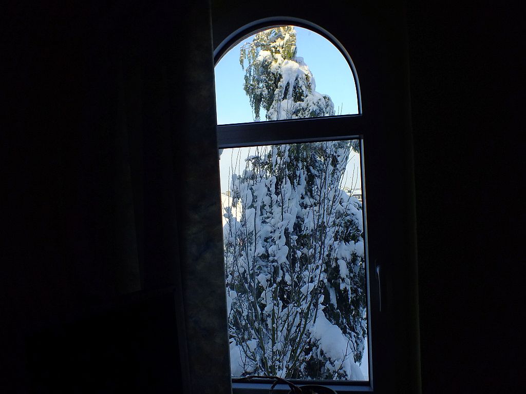 fenster0.jpg