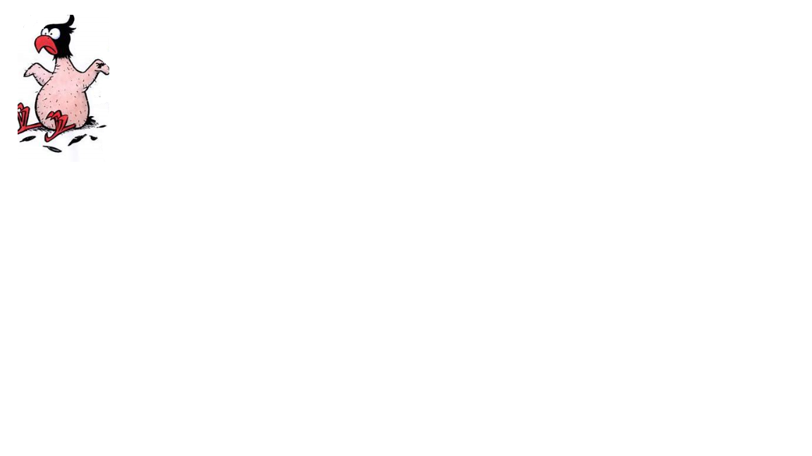 geier.png