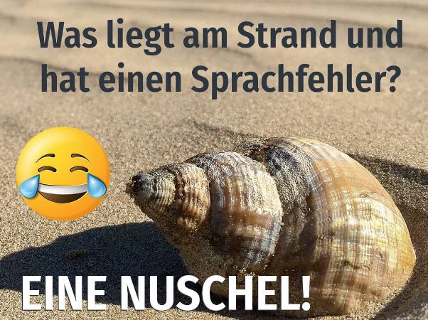 muschel.jpg