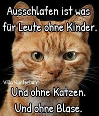 photopictureresizer_190612_132432231_crop_1....jpg
