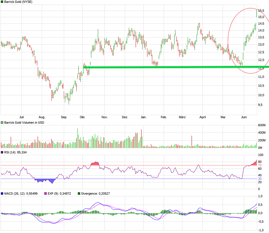 chart_year_barrickgold.png
