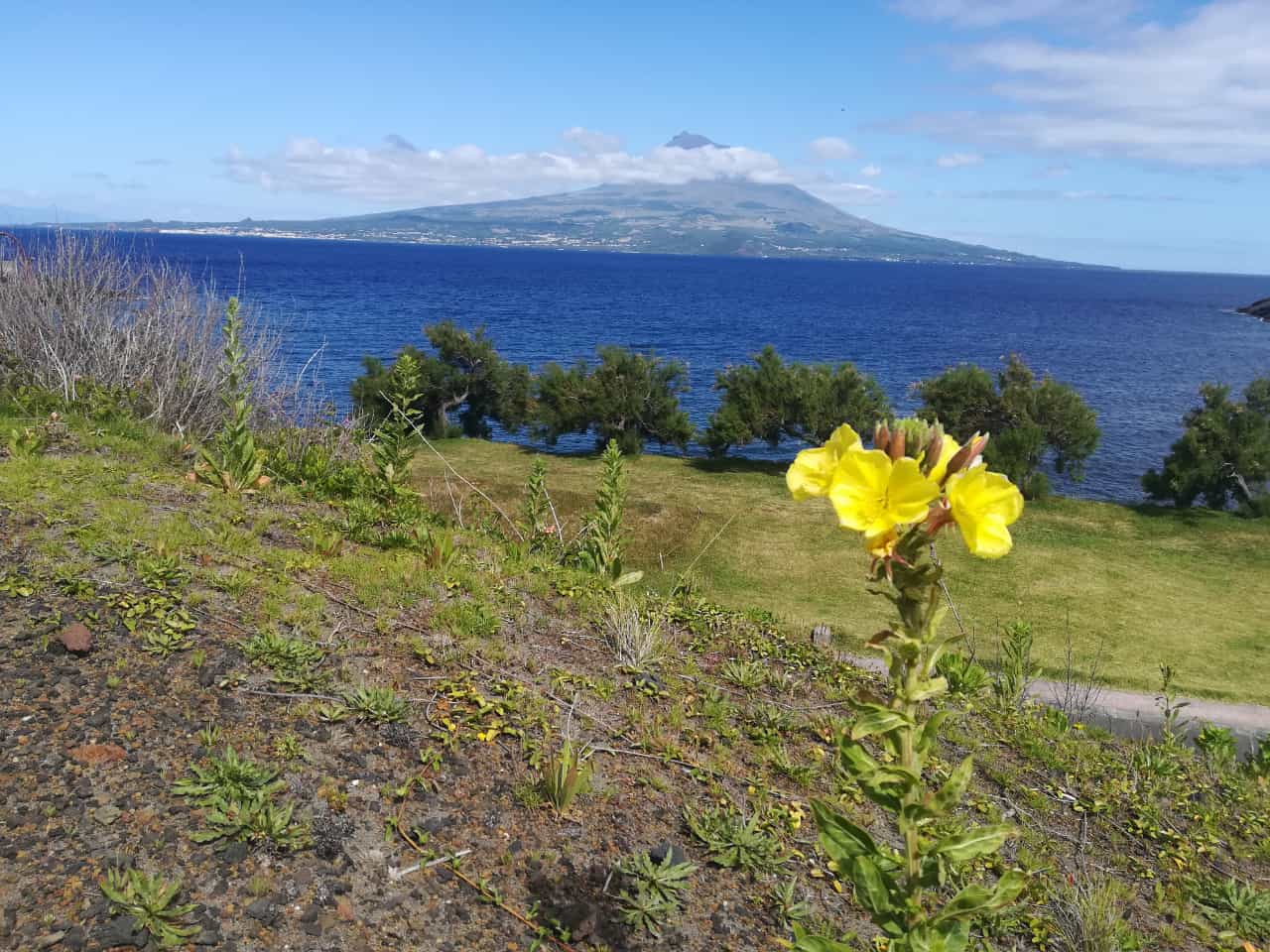 img-20190623-wa0014.jpg