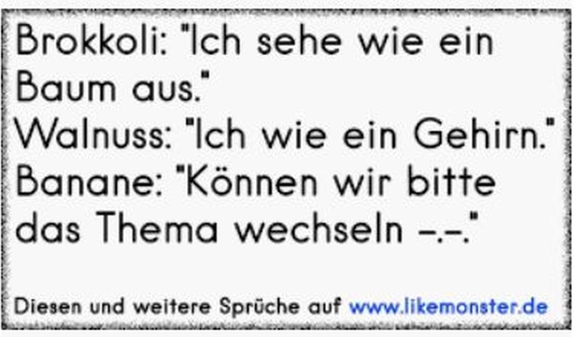 hirn.jpg