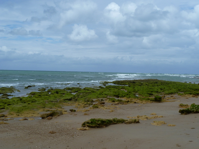 p1000826.jpg