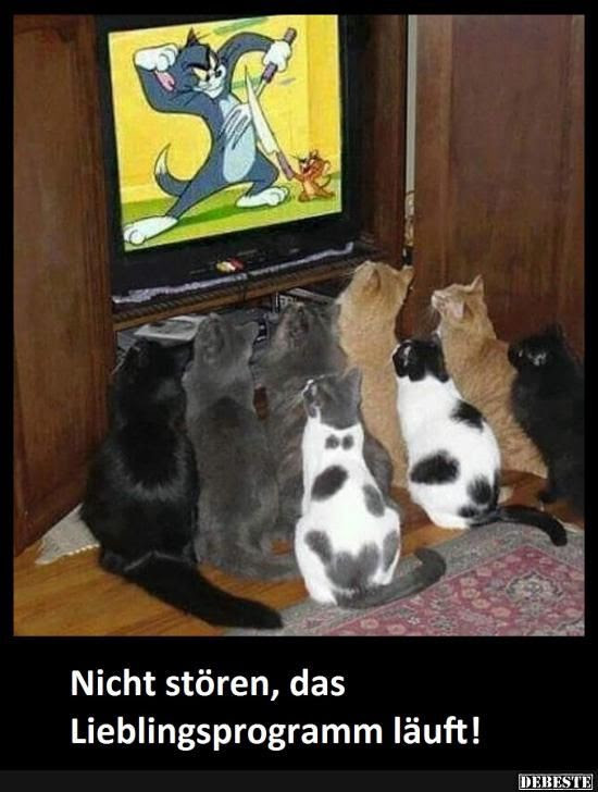 0_bg20fbzgejymthe-.jpg