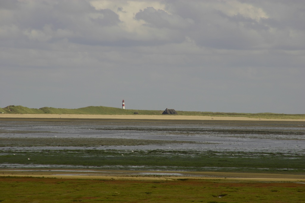 755_5593.jpg