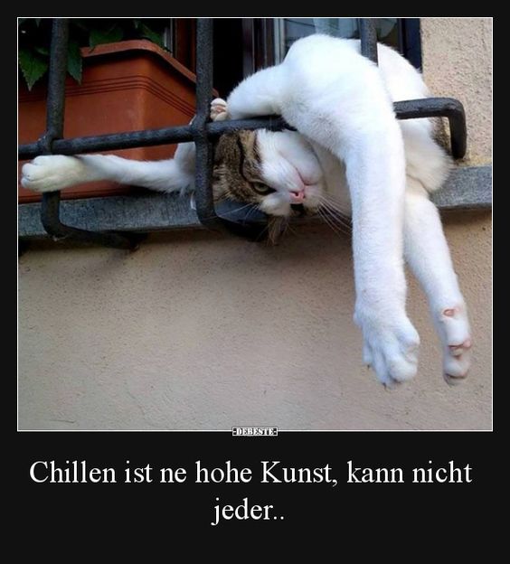 chillen.jpg