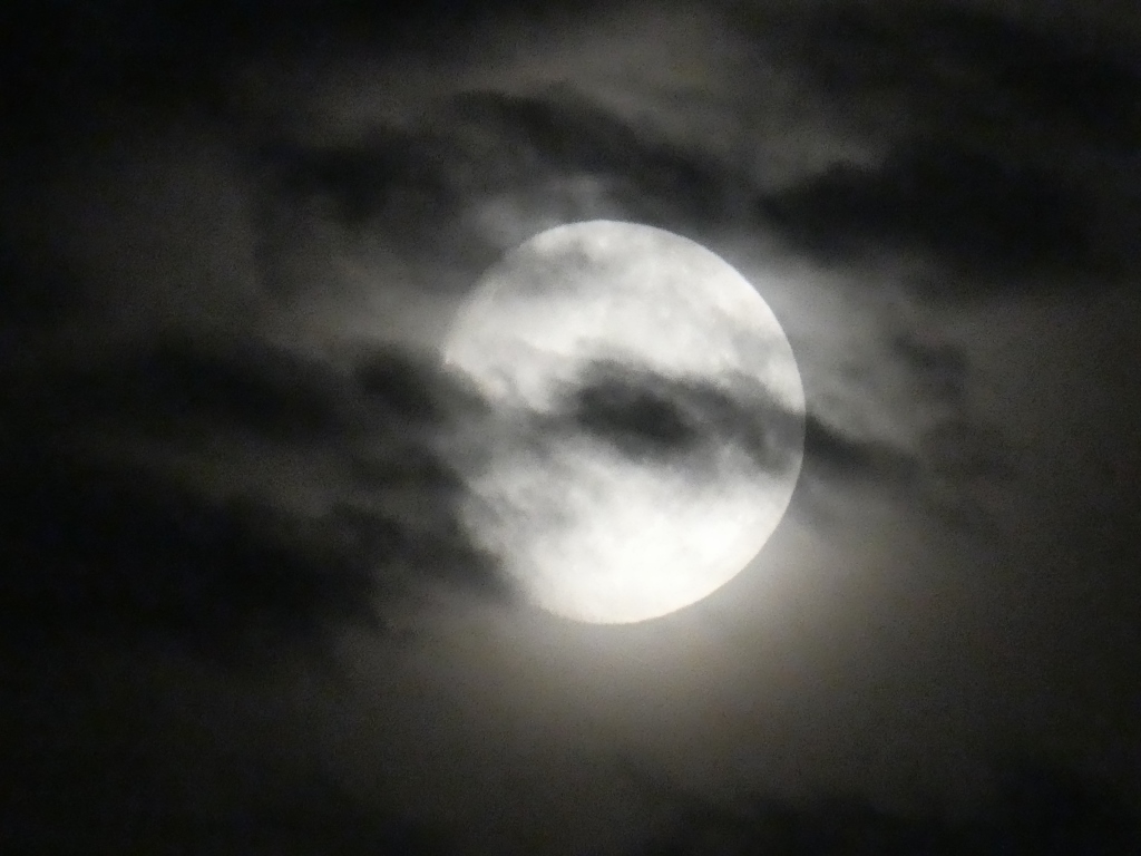 p1000016.jpg