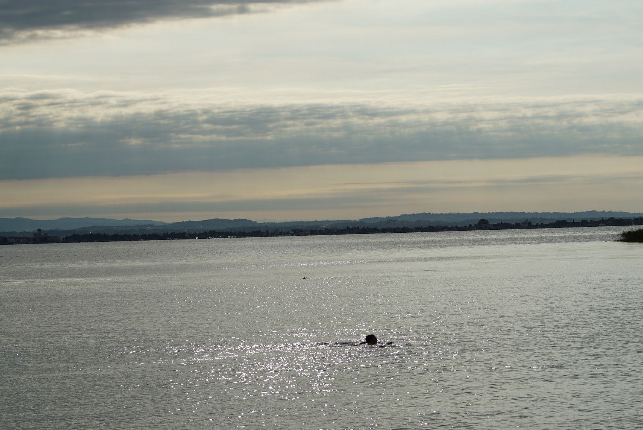 morgenschwimmer_1.jpg