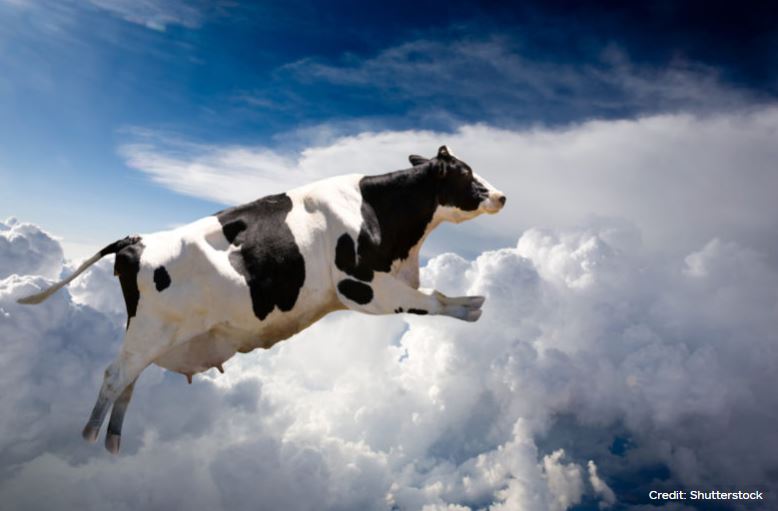 flying_cow.jpg