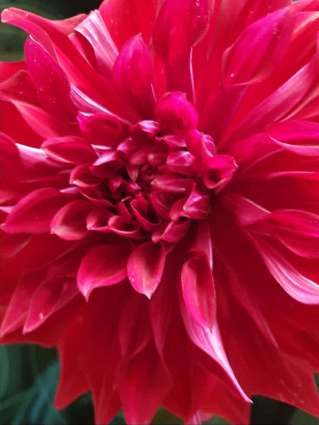 screenshot_20190916_080231.jpg