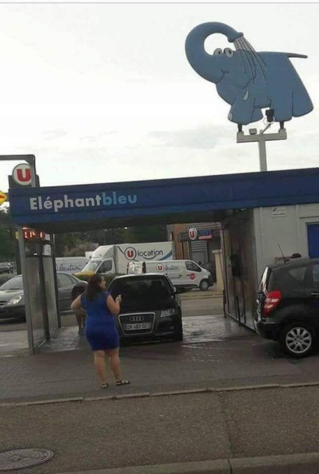 elephant_bleu.jpg
