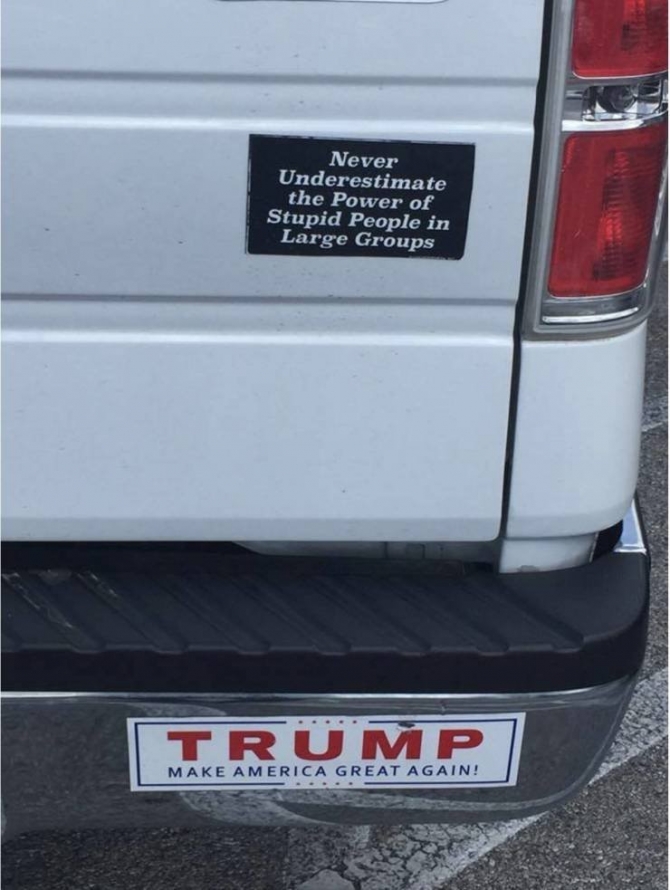 stupid.jpg