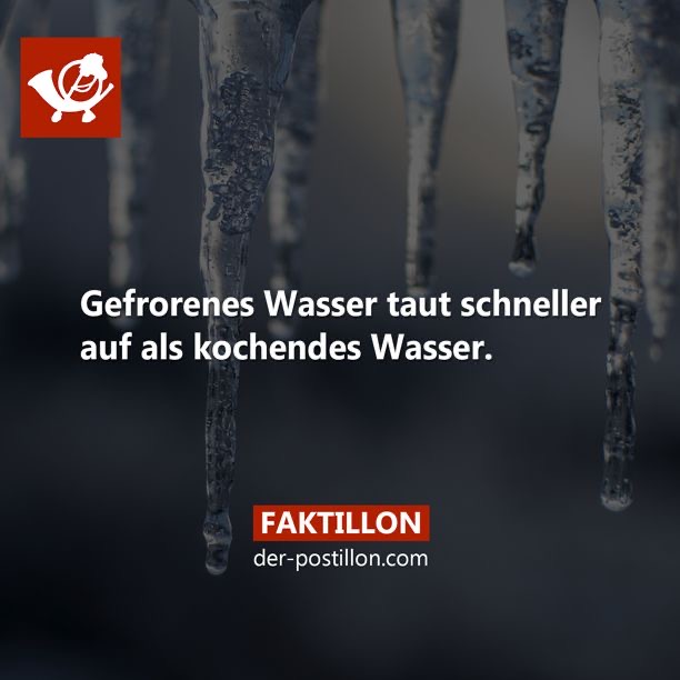 7f015494-bda0-454c-993b-9b2e14537f70.jpeg