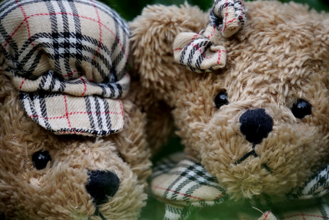 teddyfreunde.jpg