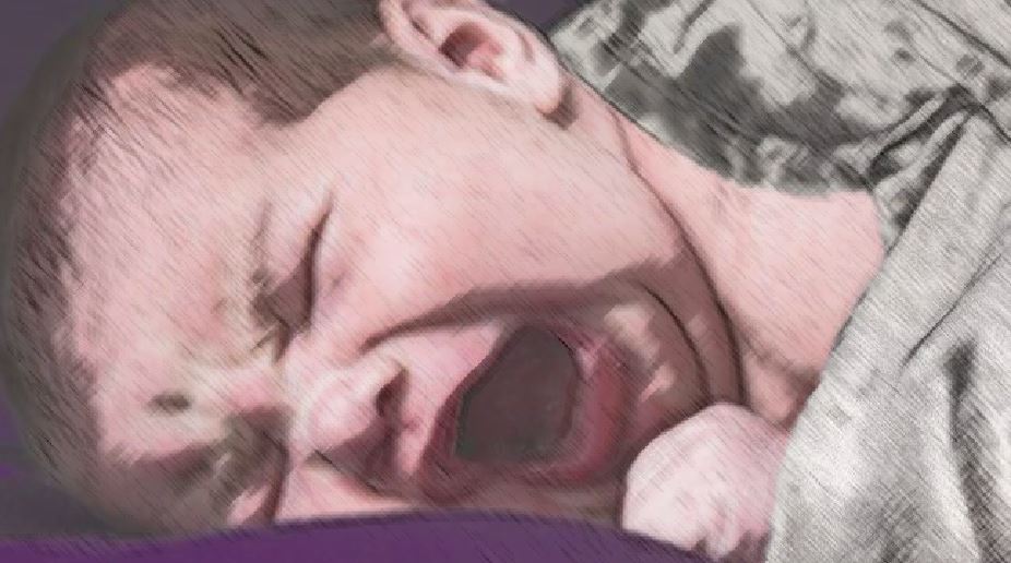 andrin3.jpg