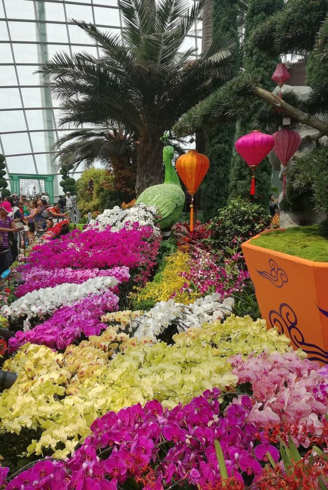 blumenhalle.jpg