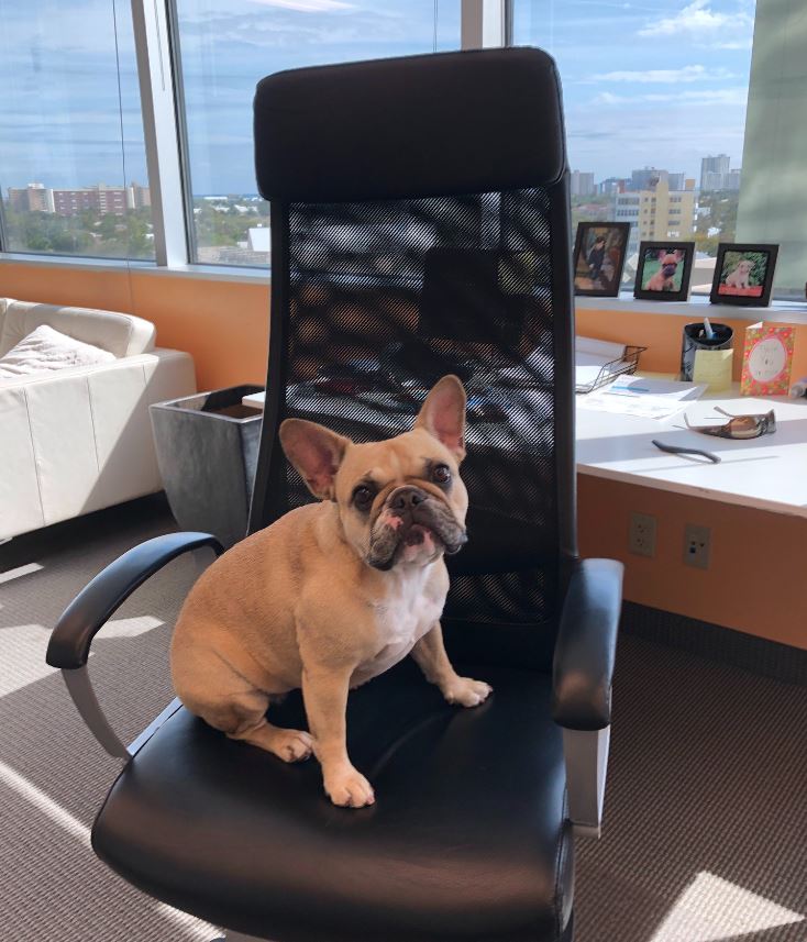 ceo.jpg