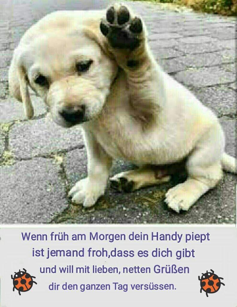 guten_morgen.jpg