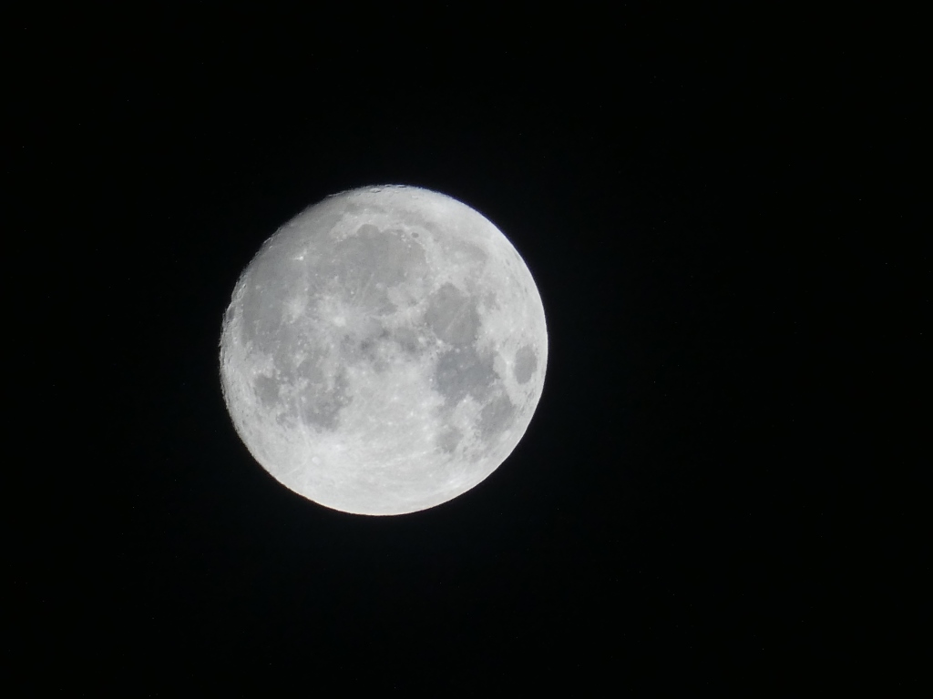 p1000514.jpg