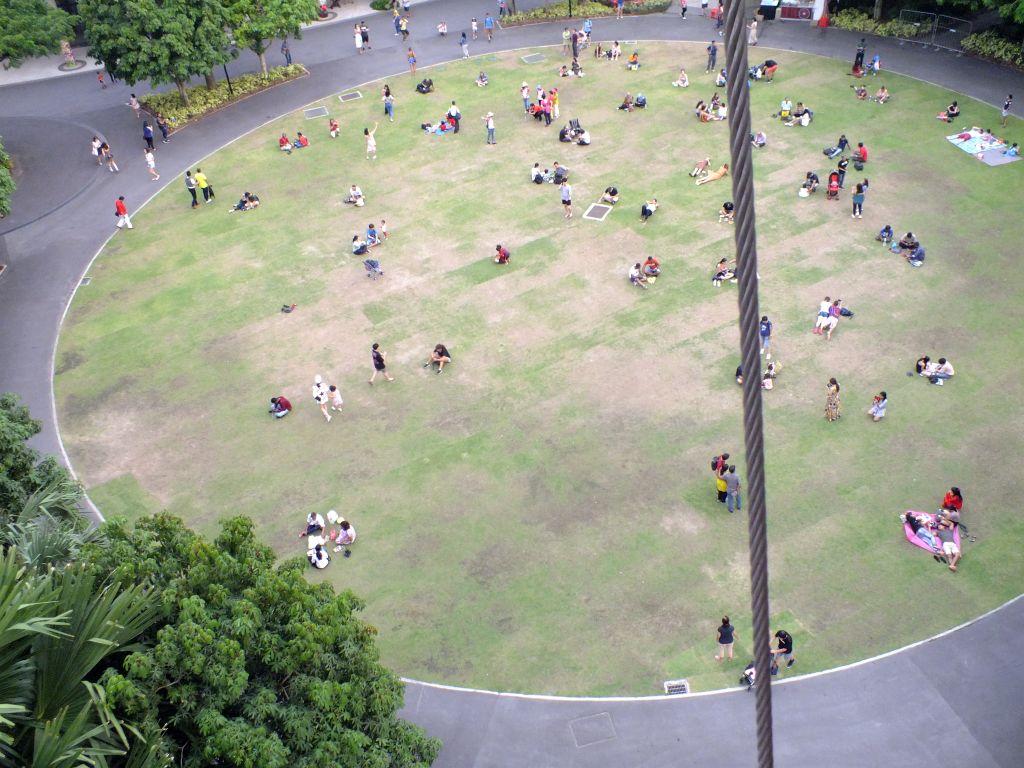 baum25.jpg