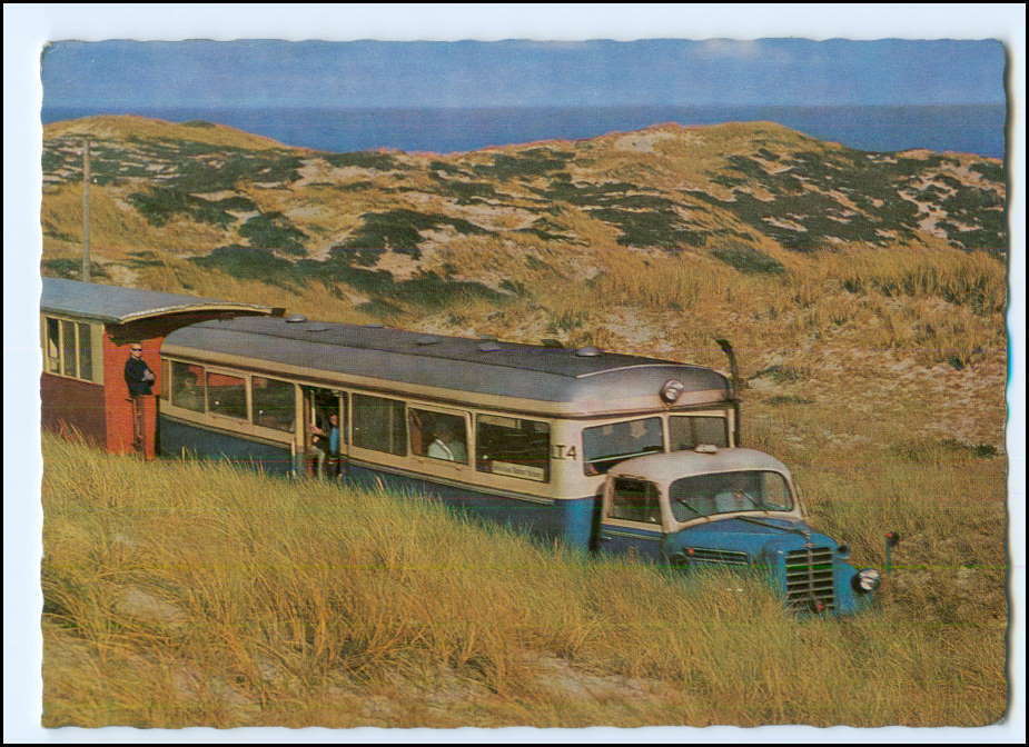 1965.jpg