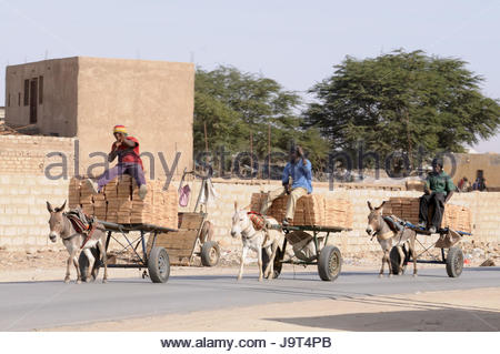 mauretanien-nouakchott-manner-eselkarren-....jpg