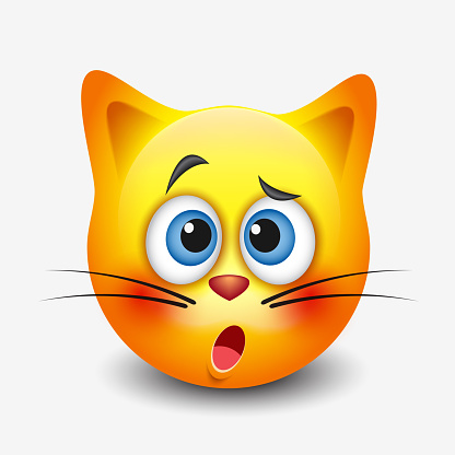 istockphoto-1135295744-170667a.jpg