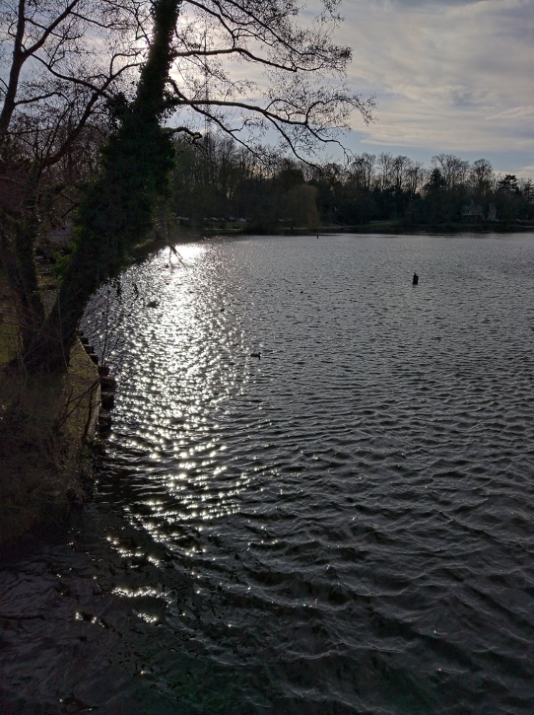 img_20200115_124610.jpg