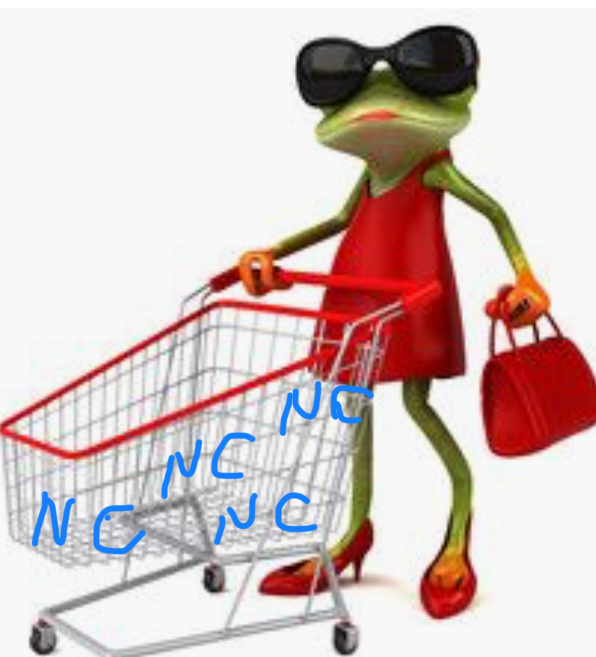 998e0e7e-6ac7-4dde-adea-a4a1fdf0c65b.jpeg