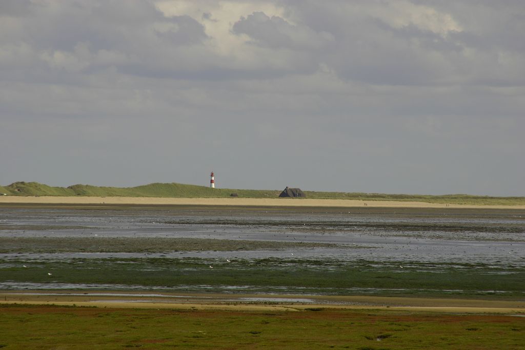 k-755_5593.jpg