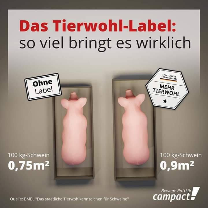 tierwohl.jpg