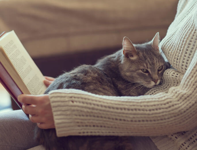 katze-mensch.jpg