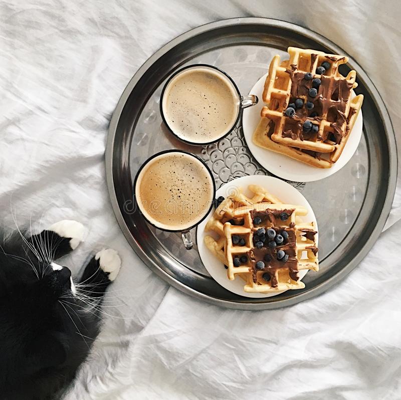 fr__hst__ck-im-bett-waffeln-und-kaffee-auf-....jpg